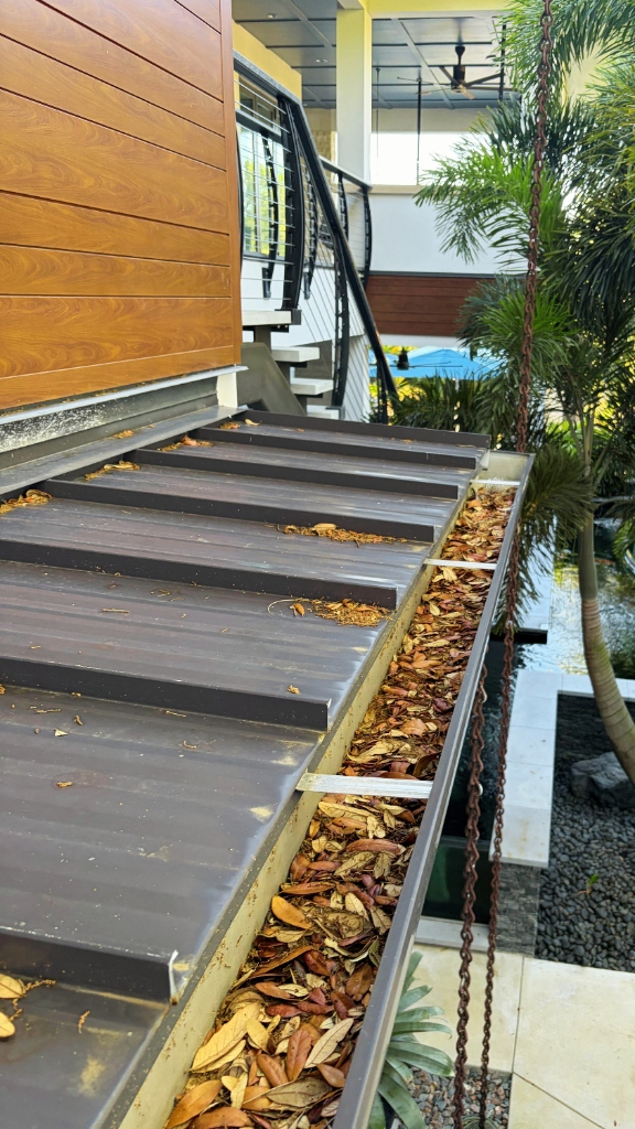 Gutter Cleaning