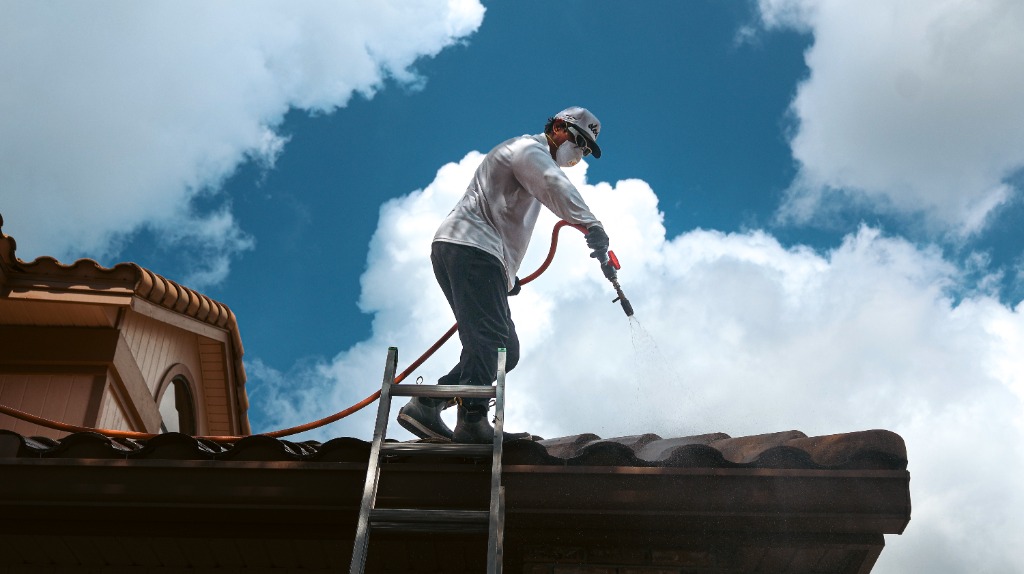 Roof Soft Wash