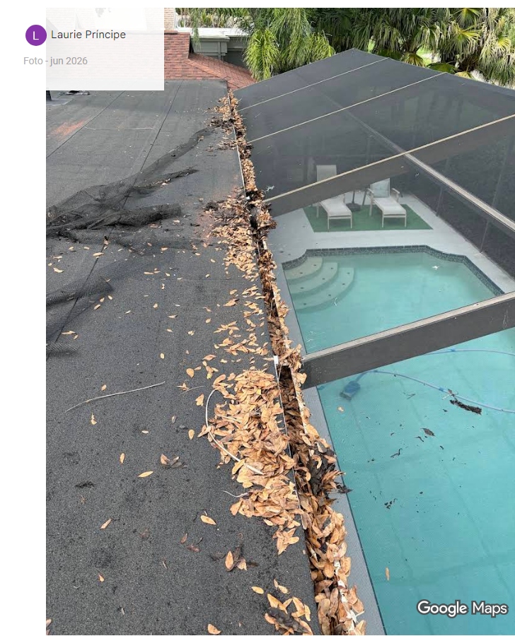 Before Gutter & Pool Cage Cleaning